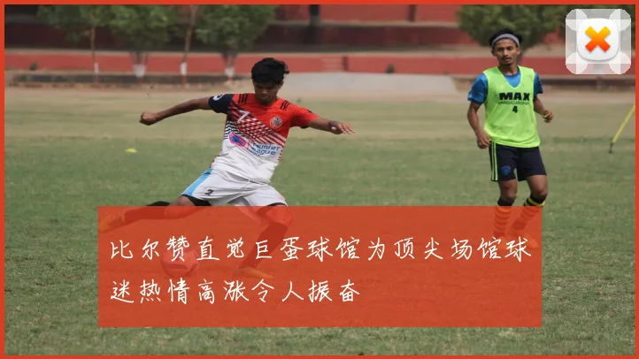 比尔赞直觉巨蛋球馆为顶尖场馆球迷热情高涨令人振奋