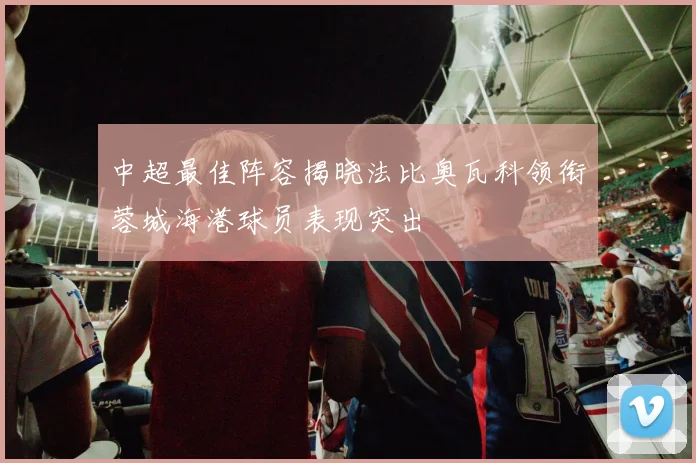 中超最佳阵容揭晓法比奥瓦科领衔蓉城海港球员表现突出