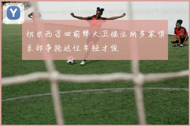 切尔西召回前锋大卫福法纳多家俱乐部争抢这位年轻才俊